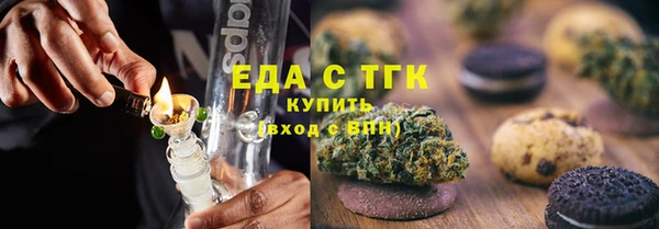 ГАЛЛЮЦИНОГЕННЫЕ ГРИБЫ Аркадак