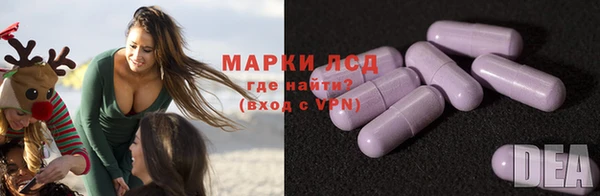 ГАЛЛЮЦИНОГЕННЫЕ ГРИБЫ Аркадак