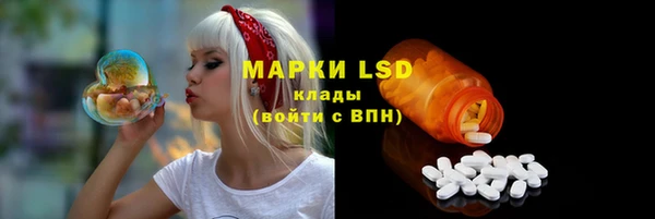 прущая мука Арсеньев