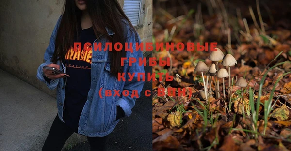 ГАЛЛЮЦИНОГЕННЫЕ ГРИБЫ Аркадак