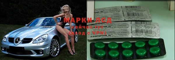 ГАЛЛЮЦИНОГЕННЫЕ ГРИБЫ Аркадак
