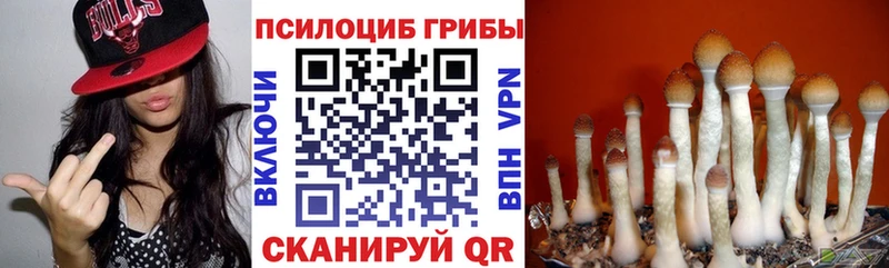 Галлюциногенные грибы ЛСД  купить   Макарьев 